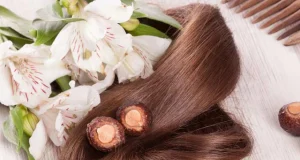 Ayurvedic-Hair-Care_1024x400